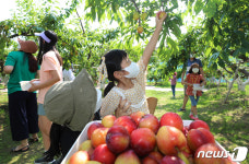 수원시농업기술센터, ‘2021년 과수공원 체험 프로그램’ 운영