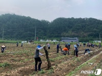 일손 돕기 나선 농촌진흥청 국립식량과학원