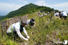 백두대간 사랑 운동 캠페인