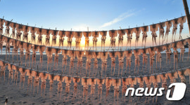 과메기가 웃을 사건…재력가 행세 40대의 고향 구룡포 시끌벅적