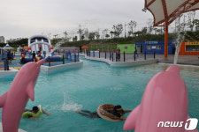 돌고래 분수와 함께