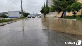 장맛비에 잠긴 진도군 고작마을