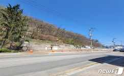 예산군, 행안부 특교세 13억 확보…그린숲 사업 등 착수