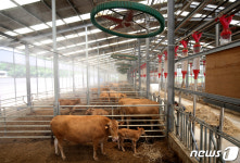 전국 폭염 위기경보 주의 단계 발령…내일 정부·지자체 점검회의