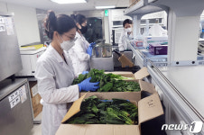 광주시 보건환경연, 잔류농약 농산물 44건 1640㎏ 폐기