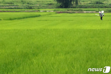 풍년 농사를 위해