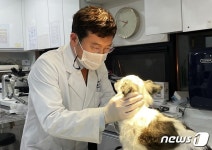 처방식 사료 함부로 먹이면 안 돼…외국처럼 올바른 급여방법 필요