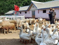 북한 축산업 부문, 당의 축산정책 관철해 성과 요구