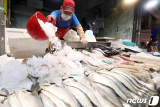오늘도 폭염..얼음 뿌리는 어물전 상인