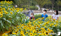 서울대공원, 코로나 우울 극복 위한 희망의 해바라기 전시