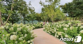 부산 북구, 화명수목원·대천천 누리길 연결 보행네트워크 구축