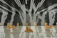 개의 시선으로 인간을 보다…춘천 강아지숲, 상호교감展 개최