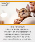 [펫카드]아파도 숨기는 고양이와 동물병원 방문하기 꿀팁