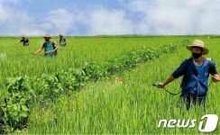 북한 당이 제시한 알곡고지, 기어이 점령할 각오로