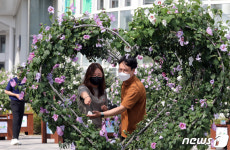국립세종수목원에 전시 중인 무궁화
