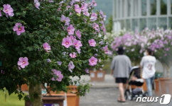 함께 무궁화길 걸어요