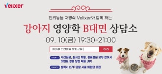 강아지 영양학 B대면 상담소 HAB아이해듀에서 9월10일 진행