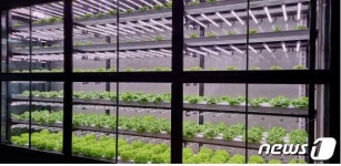 부산시 농업기술센터, 수직농장 레일팜 조성
