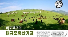 집짐승 기르기 강조하는 북한, 강원도 축산기지 선전