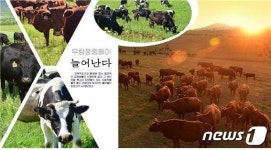 집짐승 기르기 강조하는 북한, 강원도 축산기지 선전