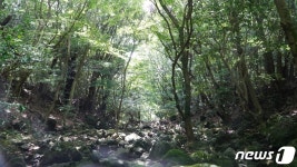 비대면 안심 관광지는 여기…제주관광공사 10곳 선정