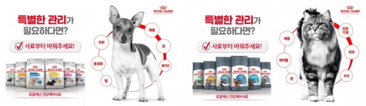 반려동물도 건강이 최고 로얄캐닌 건강케어사료 프로모션 실시