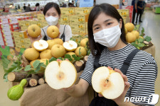 화산 배 맛보세요