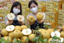 농협유통 하나로마트, ‘화산 배’ 첫 선보여