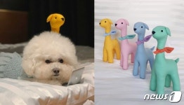 강아지와 나만의 럭셔리 휴가 소노펫 고양 펫캉스 패키지 선보여