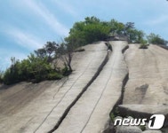 수락산 기차바위 인근서 벌에 쏘인 60대 숨져