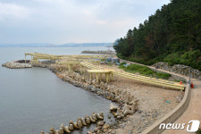 제모습 갖춰가는 포항 해안스카이워크