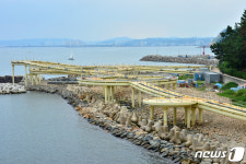제모습 갖춘 포항 해안스카이워크