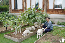 문대통령 풍산개 새끼들 이름은 아름, 다운, 강산, 봄, 여름, 가을, 겨울