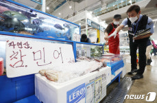 수산물 원산지 특별단속하고 있는 국립수산물품질관리원 인천지원