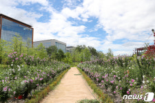 서울식물원 무궁화원, 산림청 나라꽃 무궁화 명소 최우수 선정
