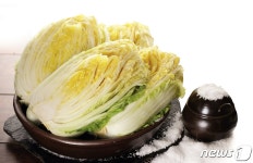 괴산절임배추 가격 20kg 1상자 3만5000원 결정