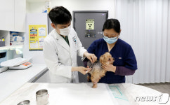 수의대도 고공행진…수시 경쟁률 31.5대1 최근 8년간 최고