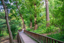 전통시장, 다 똑같다고? 동대문에선 골라간다