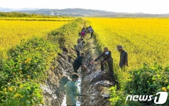 폭우·우박 등 피해 막아야 북한 재령군 청천협동농장