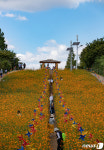 절기상 추분 '가을길을 걸어요'