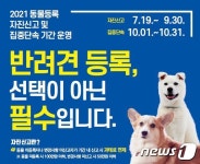 30일까지 반려동물 등록 자진신고 기간…10월부터 집중단속