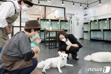 은수미 시장 “노인일자리로 ‘돌보는 공동체’ 만들 것”