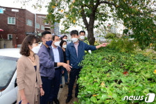울산 중구의회, 약사천 보행환경 개선사업 현장점검
