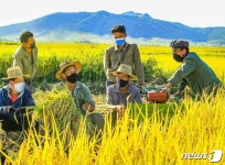 가을걷이 한창인 북한 농촌…노동신문 보도