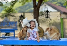 동물사랑 사진 공모전 입상작 보니…개도 소도 똑같은 가족