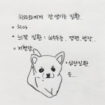 [해피펫툰]작고 소중해…누구나 보면 매력에 빠지는 치와와