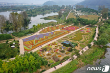 자라섬 남도 꽃 정원에서 보내는 주말