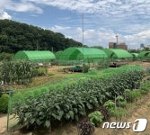 금천구 주말농장에 캠핑·농장체험하러 오세요