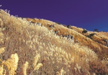 보령시 “가을여행 최적지, 언택트 관광명소를 추천합니다”