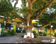 폐교 걱정 엊그제 같은데…제주 중산간 생태학교의 유쾌한 변신